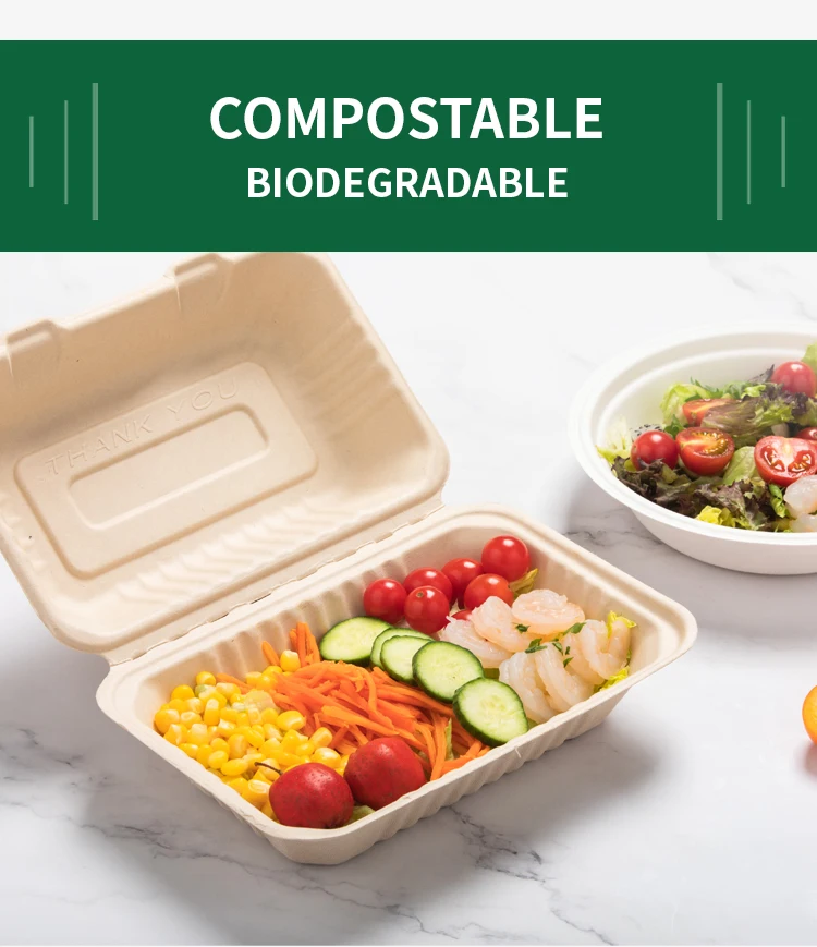 LuzhouPack 700ml Biodegradable & Compostable Sugarcane Bagasse microwave safe to go disposable food containers wholesale