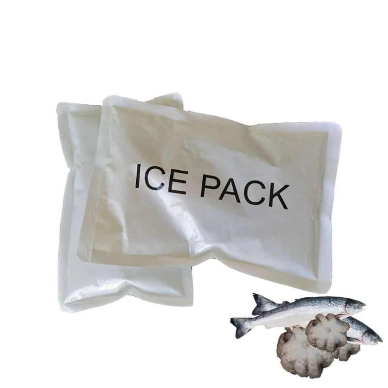  Refrigerated Ice Bag Cooling Express Water Injection Free Biological Fruit Transport Seafood Air Cold
