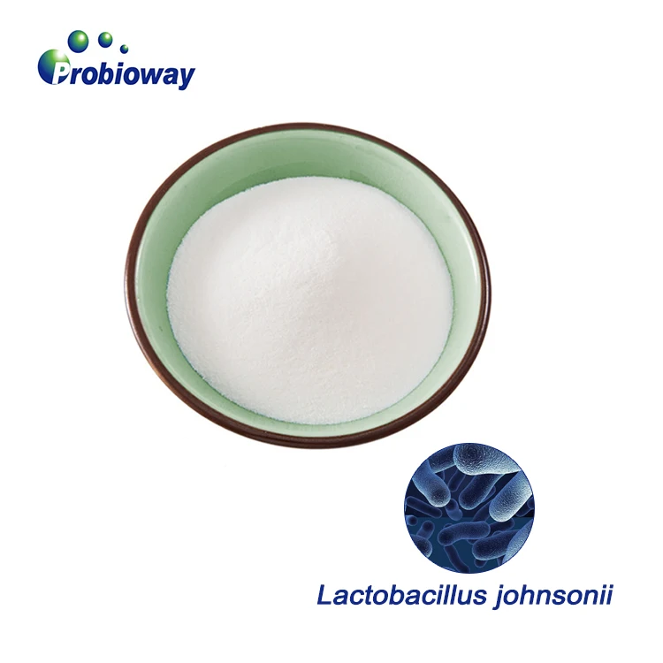 Заводская поставка лактобацилл johnsonii LBJ 456 200bn cfu/g пробиотики порошок пищевые