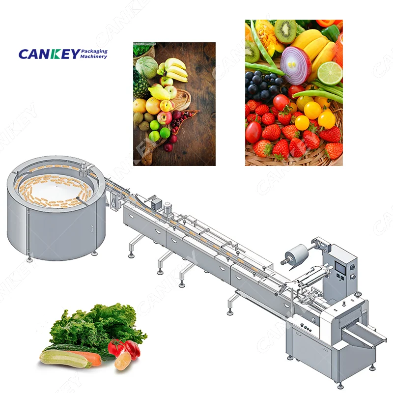 Fresh Vegetable Clean and Packaging Production Line Rotary Pillow Packing Machine Price
