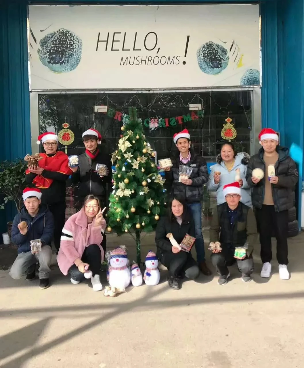 Detan Оптом Свежий трюфель китайский дикий свежий черный грибной трюфель