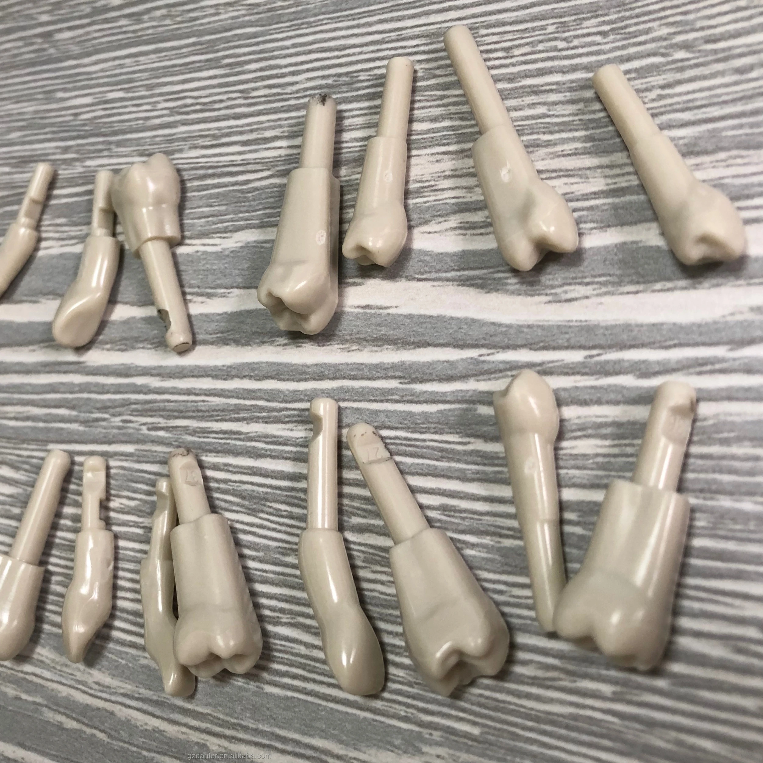 School Supplies Compatible Kavo Replacement Teeth for Training