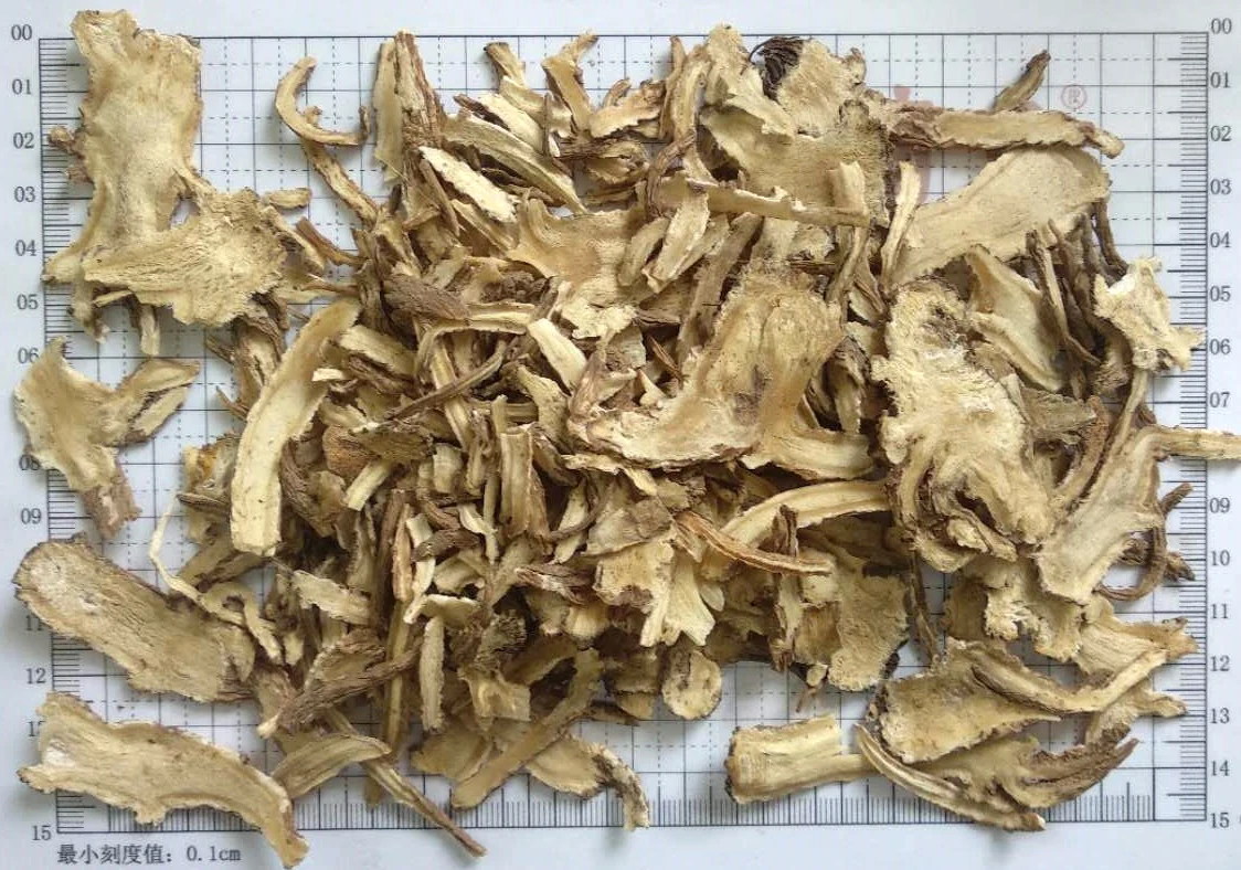 
Qiang Huo Chinese Herb Nature Wild Angelica Polyclada Dried Notopterygium Root 