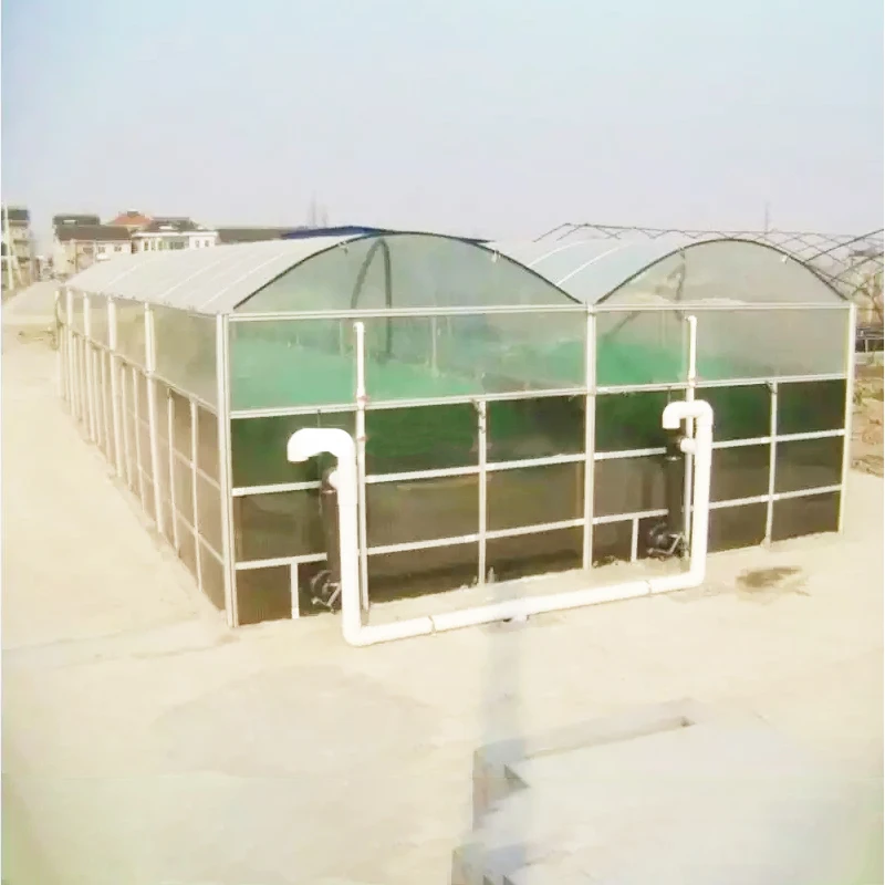Hot Selling Mini Biogas Digester China Portable Pvc Integrated Mobile Assemble Small Polyethylene Home Biogas Digester