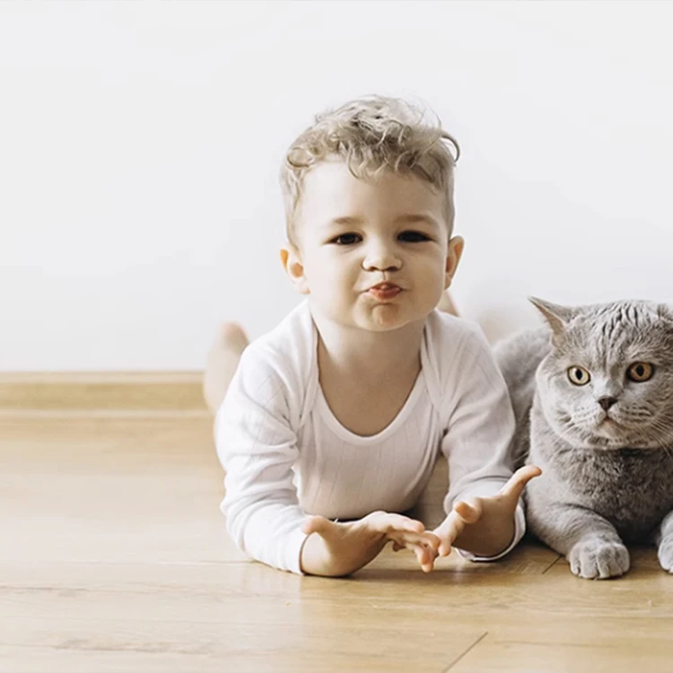 Водонепроницаемый износостойкий ПВХ виниловый пол Гибридный пол водонепроницаемый 5 мм 12 мм Spc настил