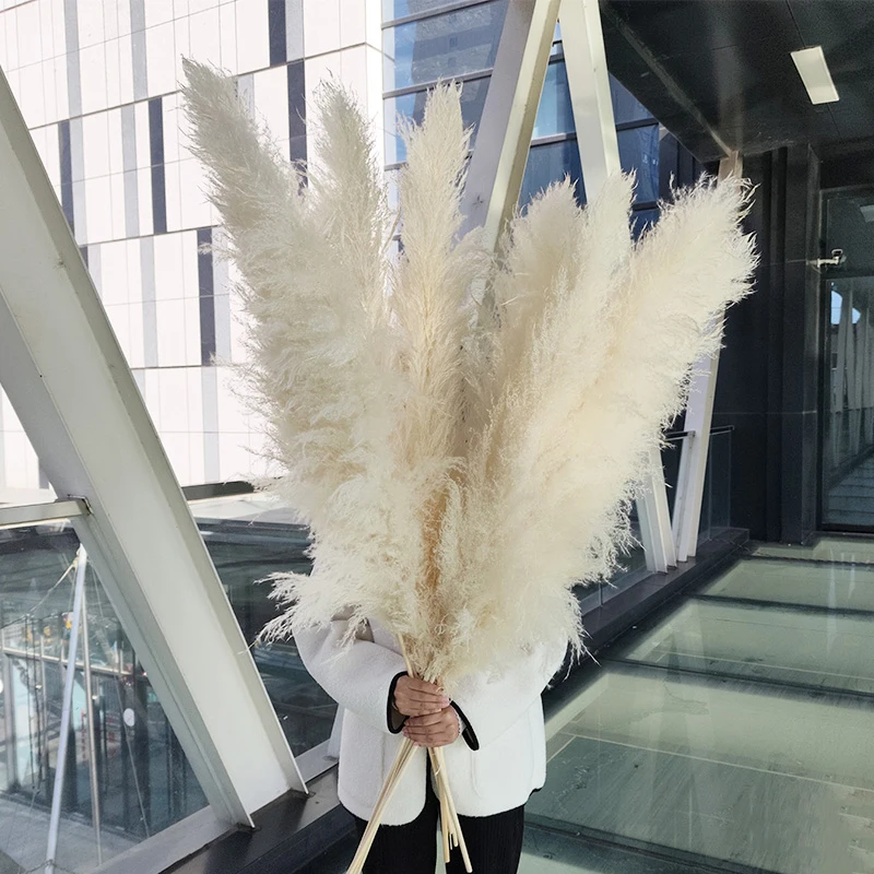 Wholesale High Fluffy Pampas Grass wall christmas tree white/pink Pampas Reed Grass dried flower Wedding Decorations Boho Decor