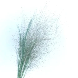 New product handmade preserved limonium carved wooden decor pressed flower wall art rattan glass