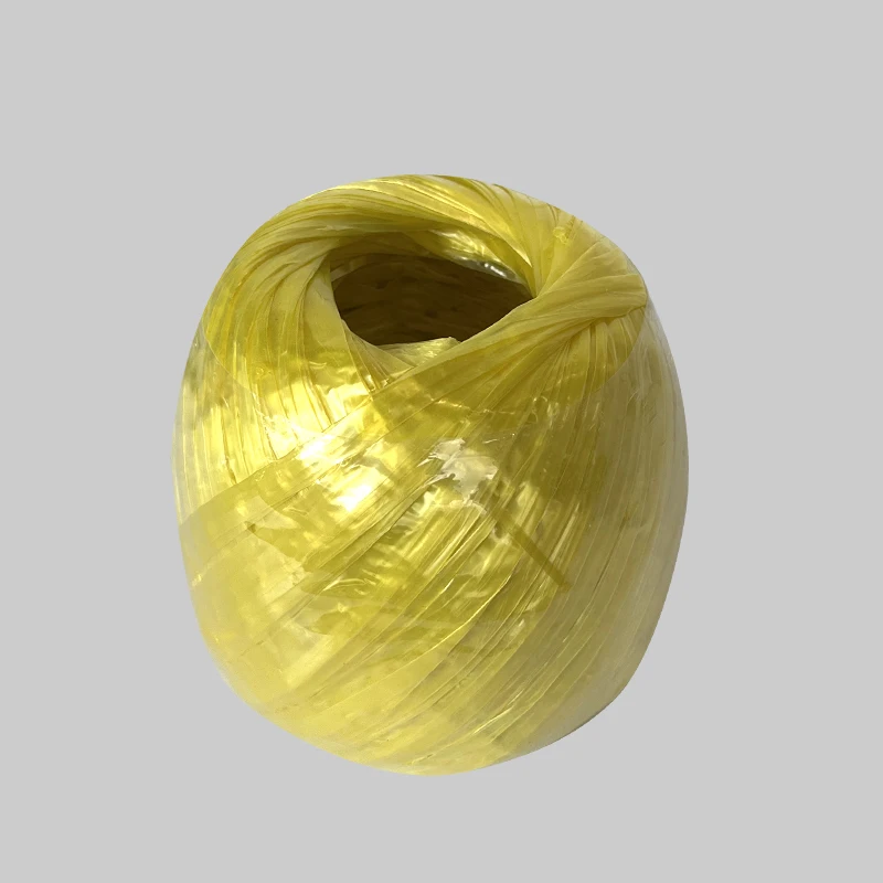 China Customized Polyester Nylon Plastic Rope Twine