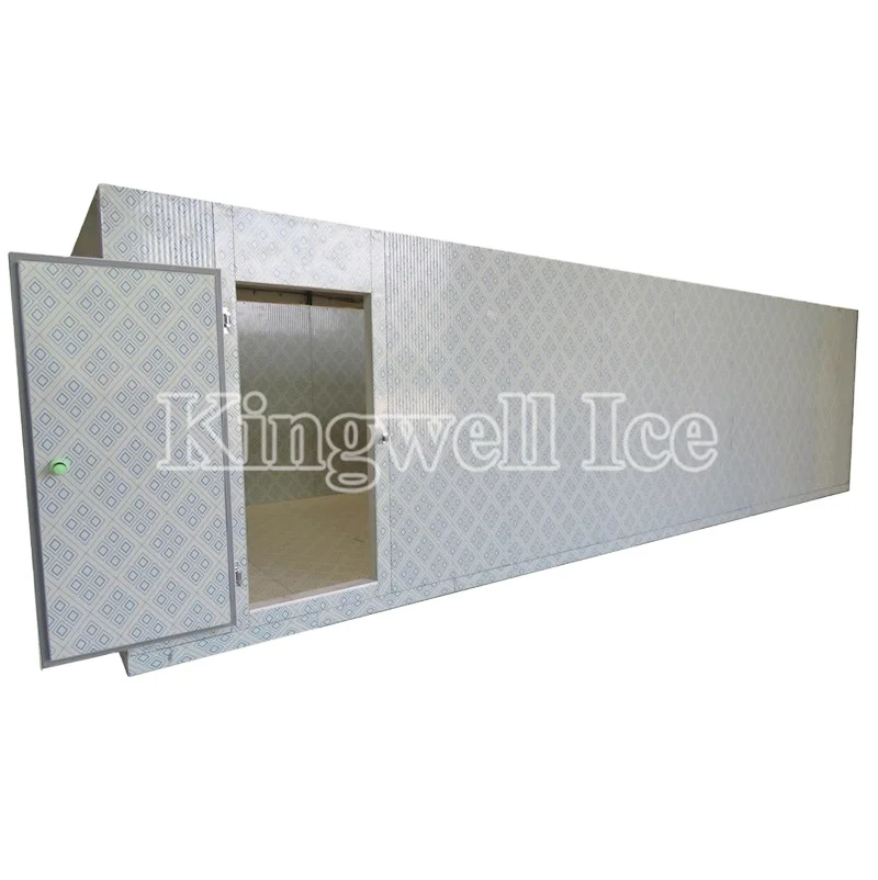 Banana ripening room with Pu Panels, Refrigeration Cold Storage Room