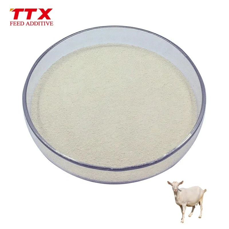 5000 phytase enzyme price enzyme for feed