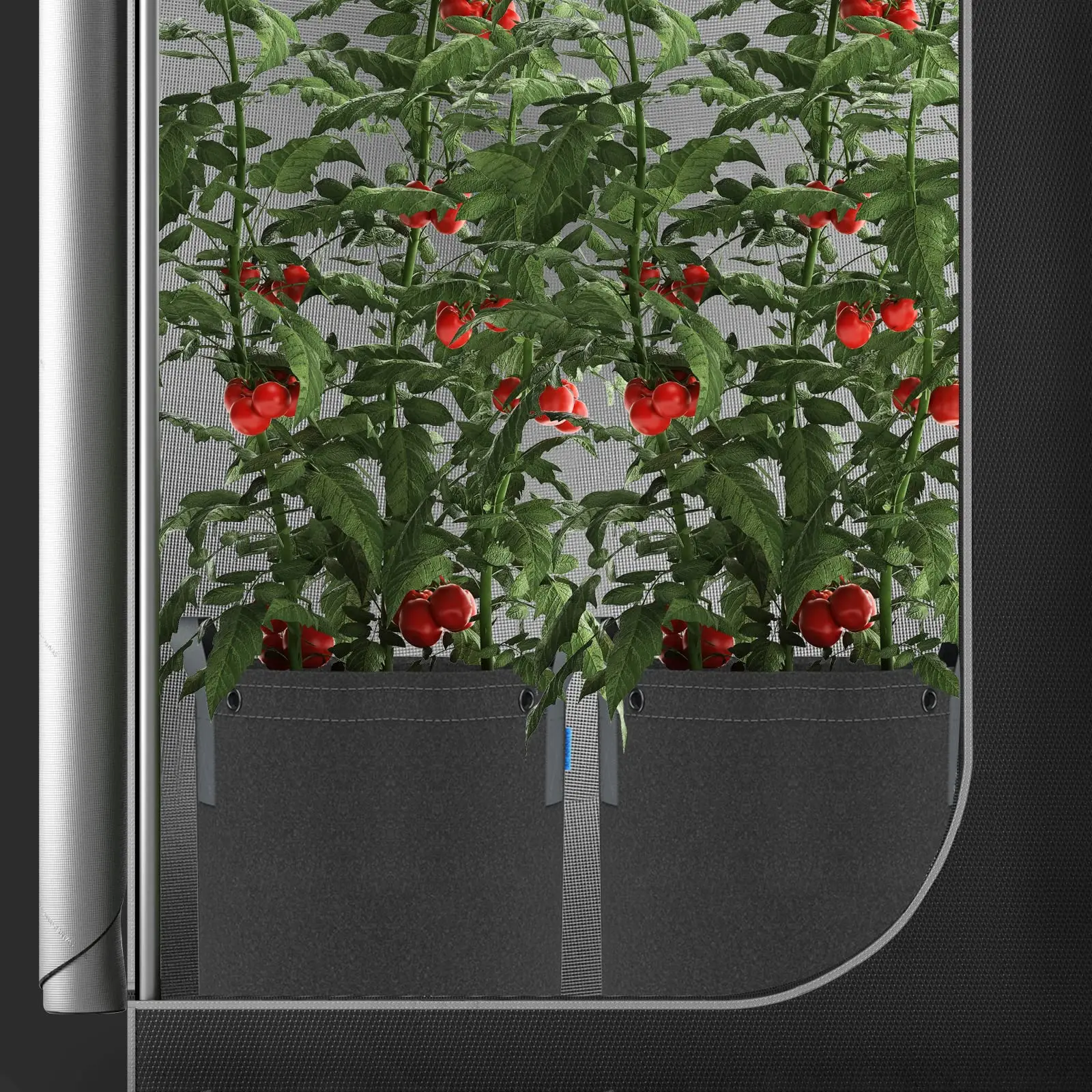 garden grow bag outdoor vegetables seeds for planting grow bags with handles nonwoven fabric tomatoes potato felt grow bag