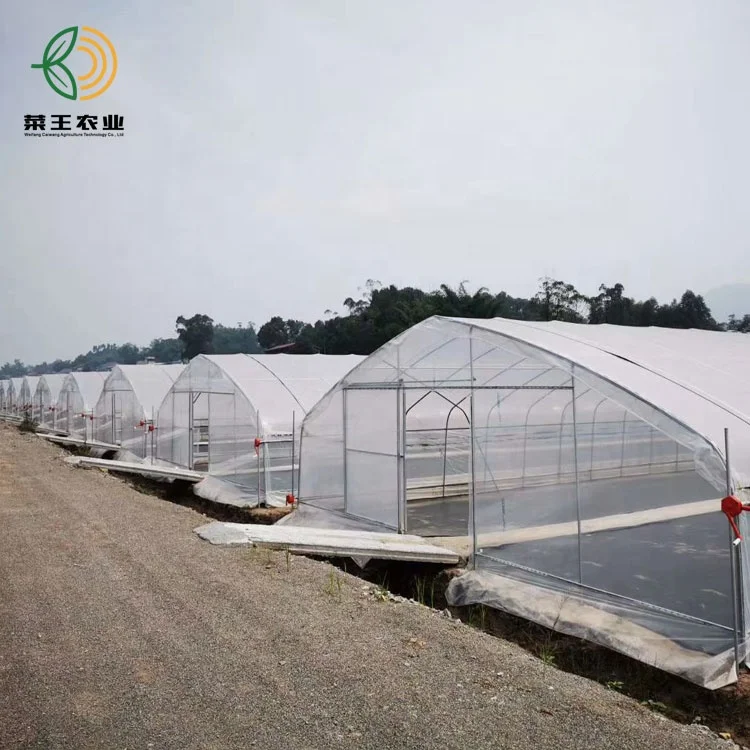Cheap Price Easy Construction Agricultural Single-span Greenhouses for Sale