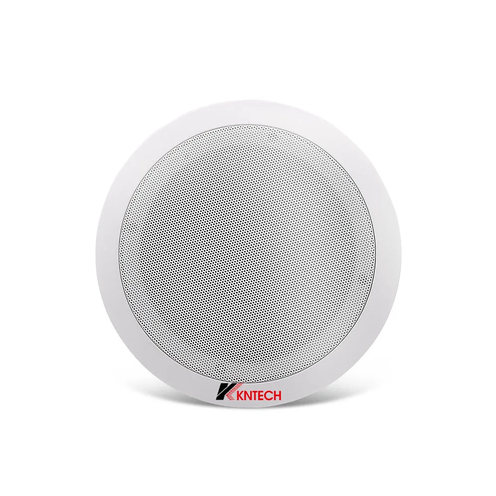 Сетевой SIP-динамик VoIP, языческая система, IP-динамик, Потолочные динамики