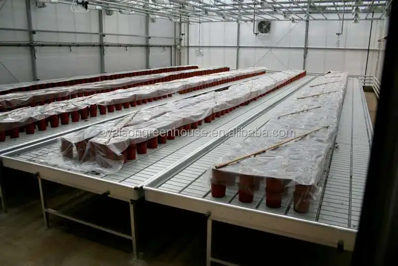 
Hot sale 4x8ft ABS plastic tray ebb and flow rolling bench 