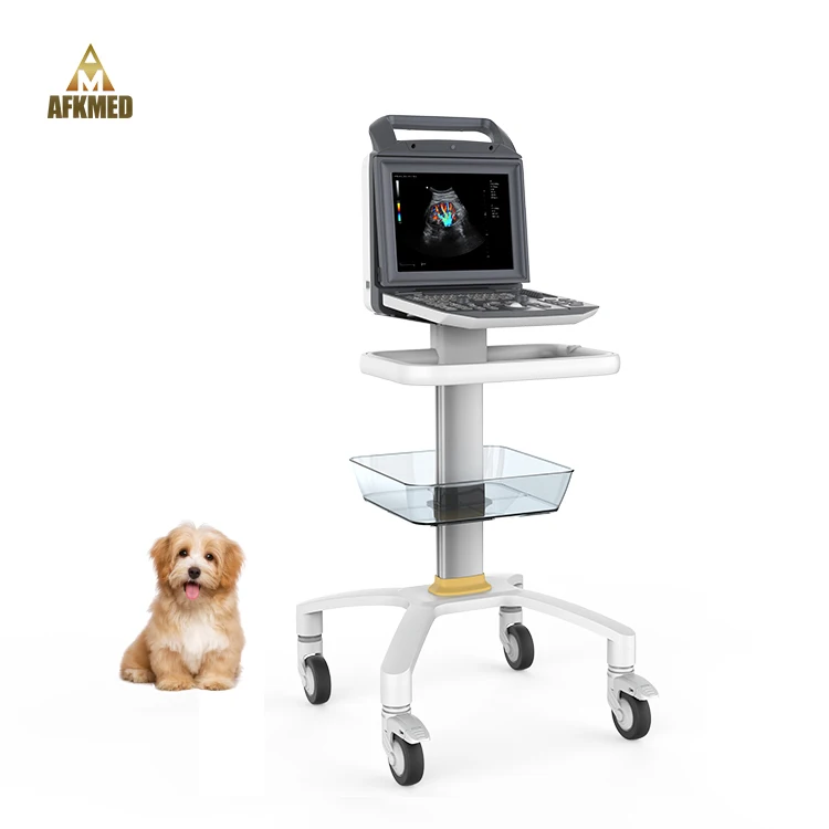 Color Ultrasound Machine 4d Ultrasound Machine Price  veterinarian veterinary color ultrasound