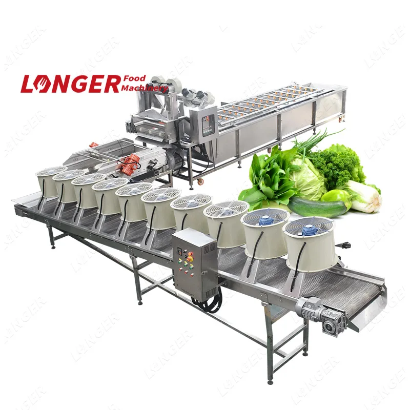 
Air Bubble Auto Onion Washer Ginger Washing Machine Plant 