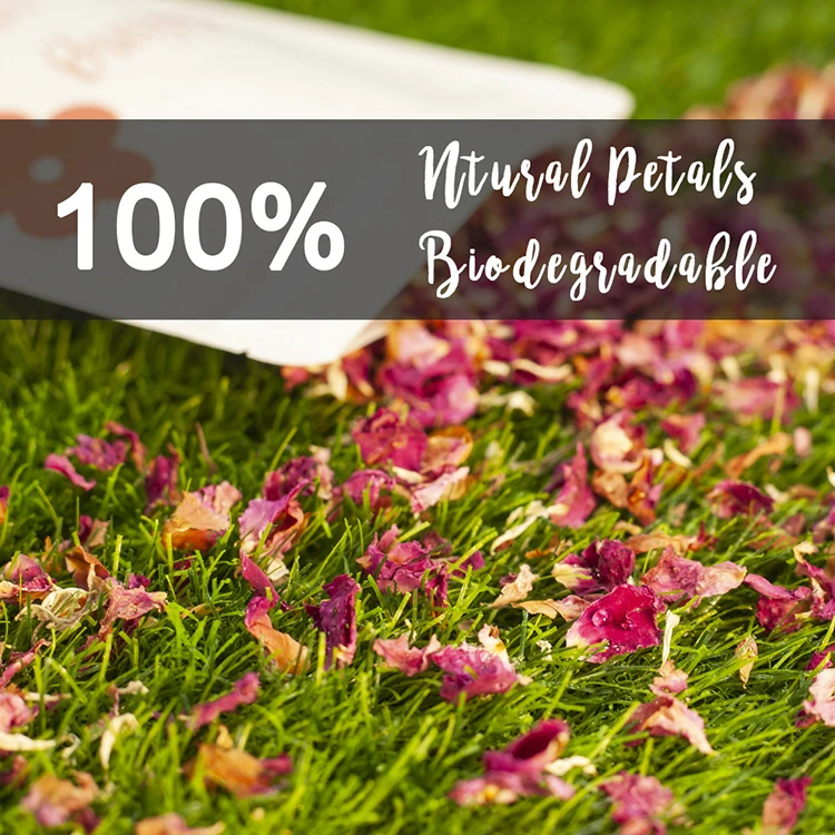 Заводская поставка доступная цена большая упаковка биоразлагаемый лепесток розы конфетти для свадьбы
