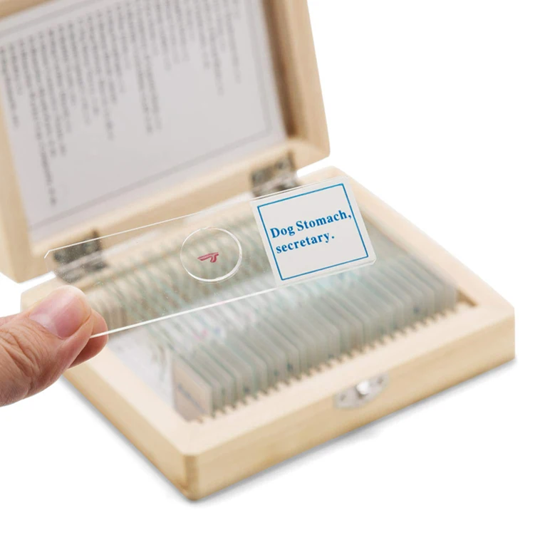 High Quality Mixed 25 pcs Plant Animal Microscope Prepared Slides In Wooden Box