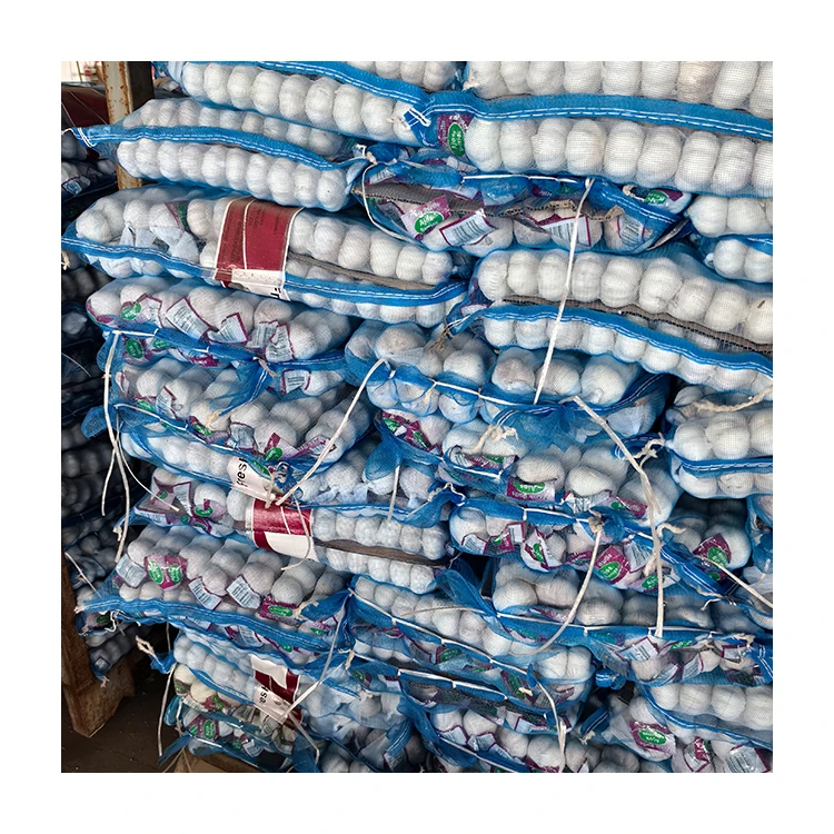 China Fresh Garlic Price Wholesale Price in Shandong Onion Garlic Seeds for Sale Normal White Imported Garlic Fresh