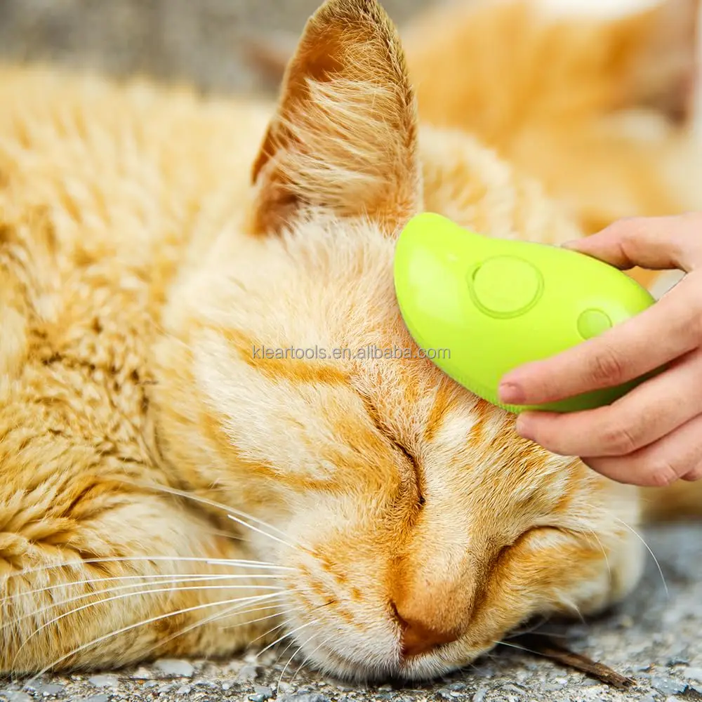 Cat Steamer Brush for Massage Self Cleaning Cat Steamy Brush Pet Steamer Brush