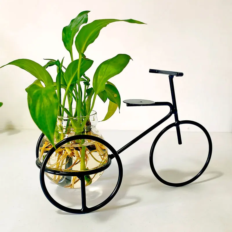 Retro iron three-wheeled bicycle model can be planted hydroponic green plants with glass containers