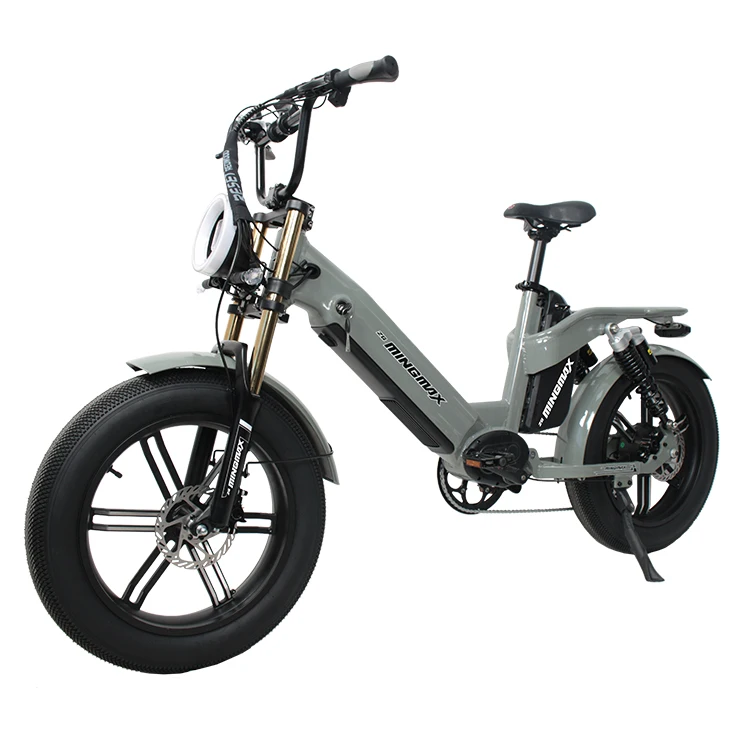 MINGMAX New style Men 48V 12Ah fat Electric bicycle Full Suspension 20*4.0 Fat Tyre Electric Snow Bike