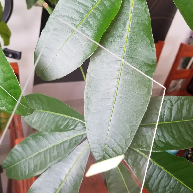 New fession 	ultra clear tempered glass screen protector glass