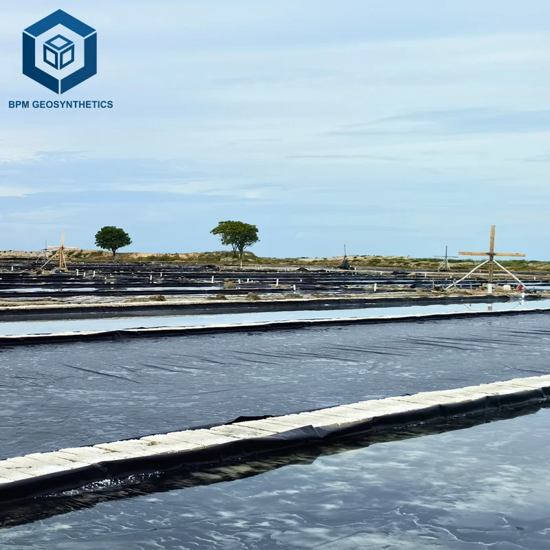 1mm HDPE Geomembrane Fiyat for Saltwater Evaporation Ponds in South Africa