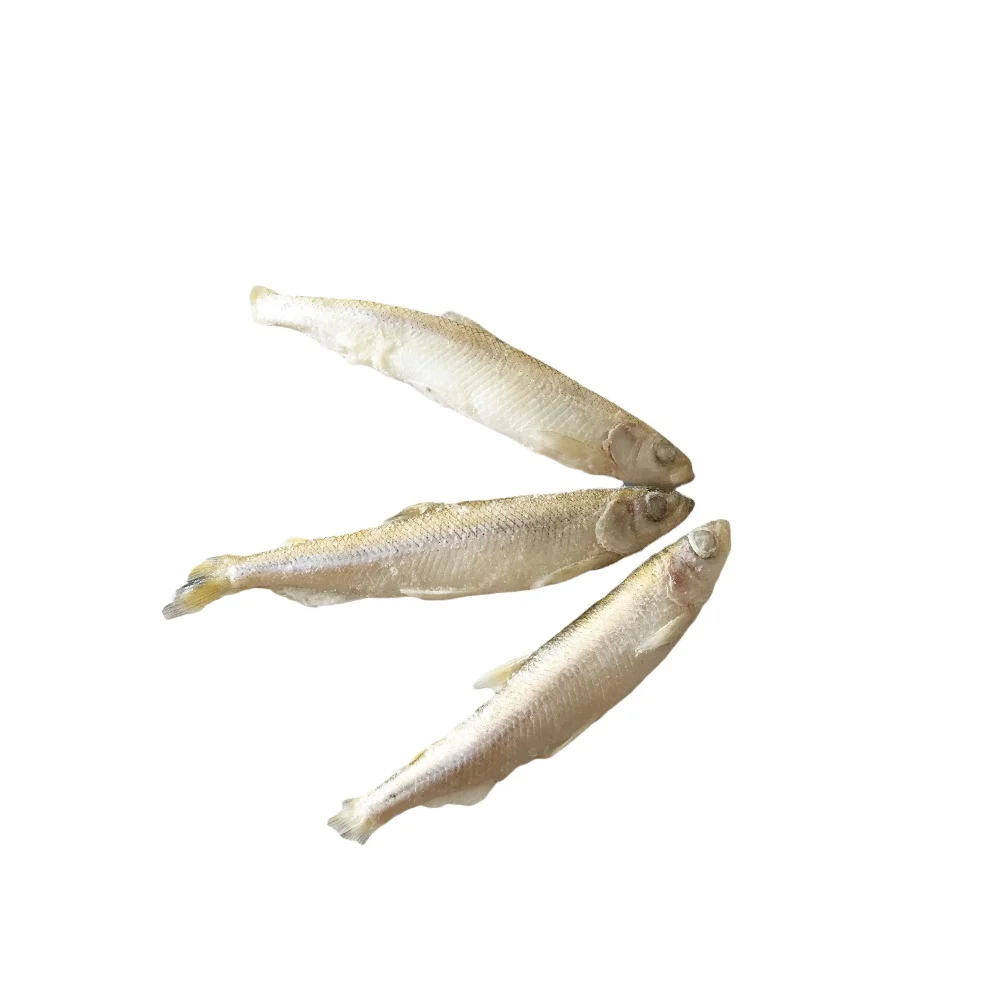 All types of frozen seafood cheap pond smelt fish supplier