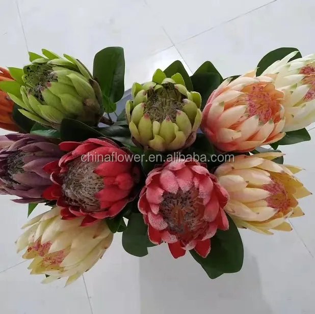 FCR107 Artificial silk flowers faux Protea flower good quality for home or wedding decoration