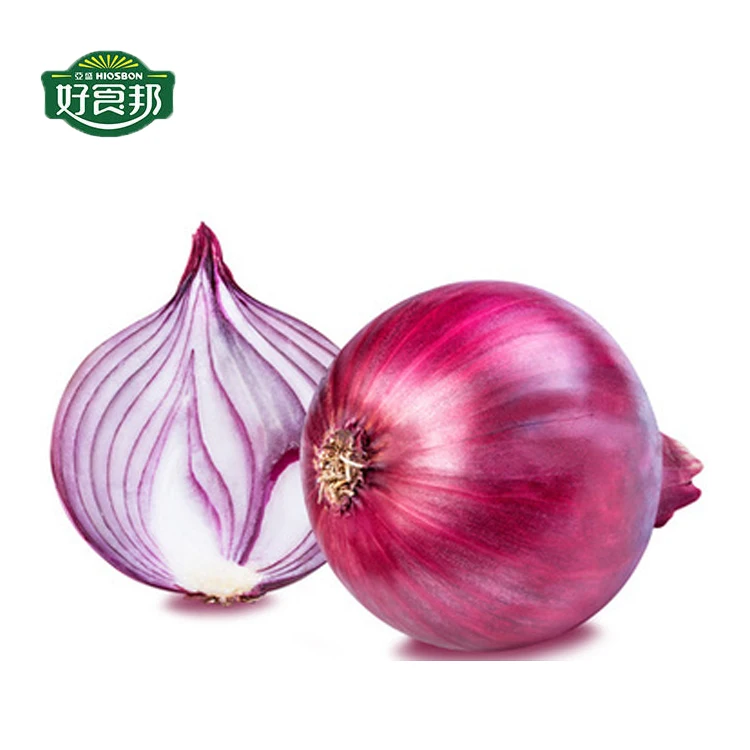 Hot Sale Fresh Red Small Onion Export from CN;GAN Mesh Bag 100% Maturity Gansu Province 20 Kg Round 2019 8 Cm 6-8 89% FCL Top