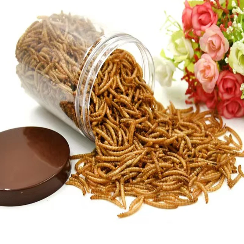 Wholesale small pet food hamster freeze dried dried mealworm treats small pet snacks