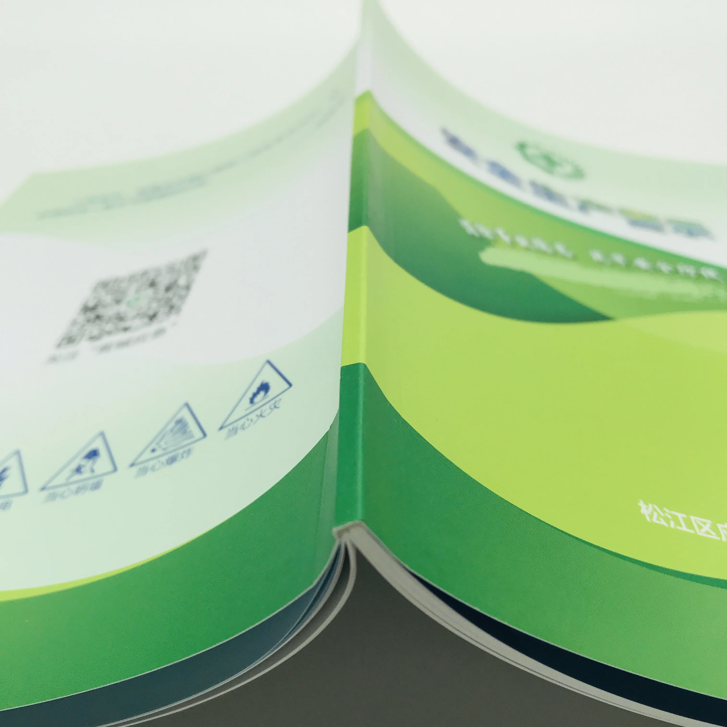 SM-CZ006 Color booklet instruction book printing service