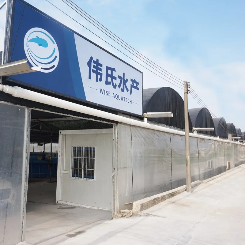 RAS Water Treatment Equipment Set Hatching Carp Fish Farming Tilapia Recirculating Aquaculture System
