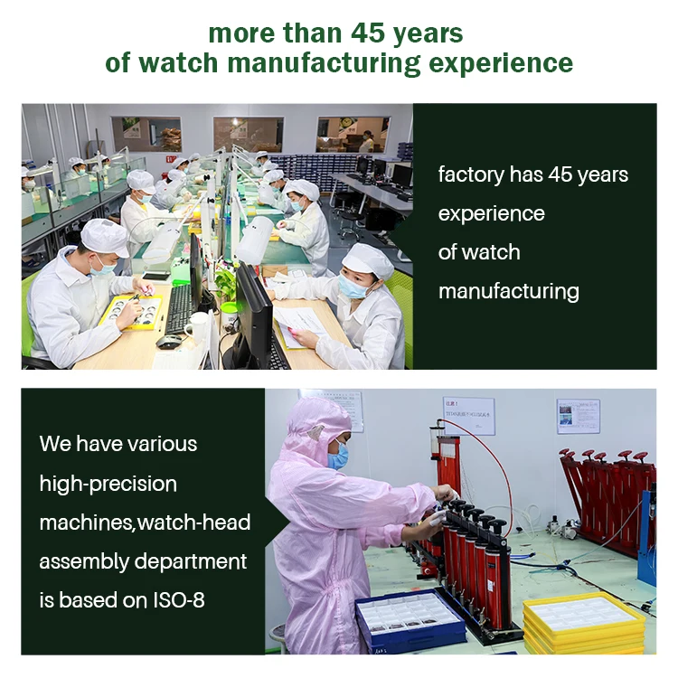 Hot sale luxury skeleton  Private label men hand watch japanese leather strap mechanical automatic stainless steel watch