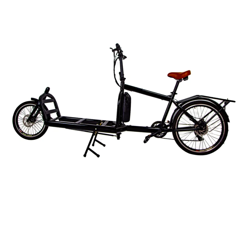 2021 Custom 250w orginal lithium battery with two wheels electric cargo bike for small business and family