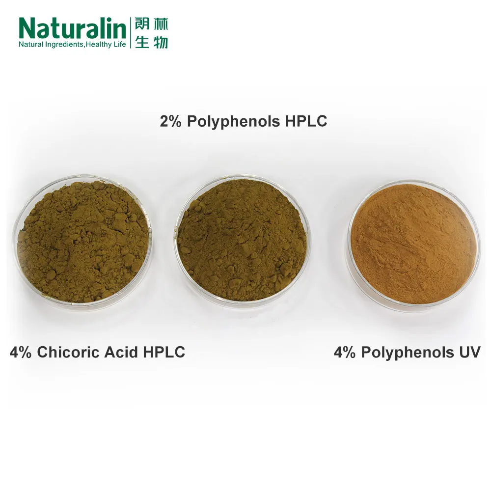 Naturalin  High Quality Echinacea Purpurea (Linn.) Moench Plant Extract 4% Polyphenols UV Tested Echinacea Extract