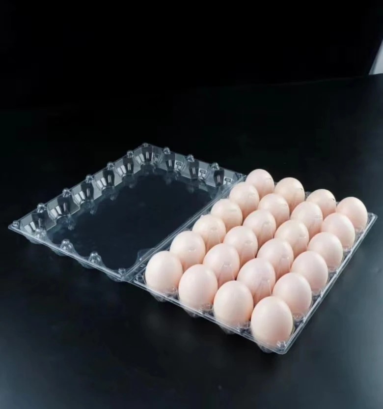 custom plastic 24 holes blister chicken egg tray packaging wholesale eggs packaging boxes for sale