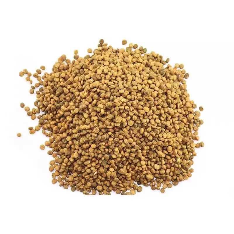 
Competitive Price Ginseng Seeds For Planting 