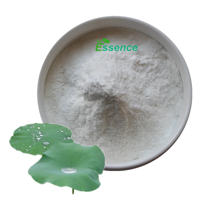 Plant Extract Lotus leaf extract  98% Nuciferine Powder CAS 475-83-2 Natural Dried Lotus Leaves Extract