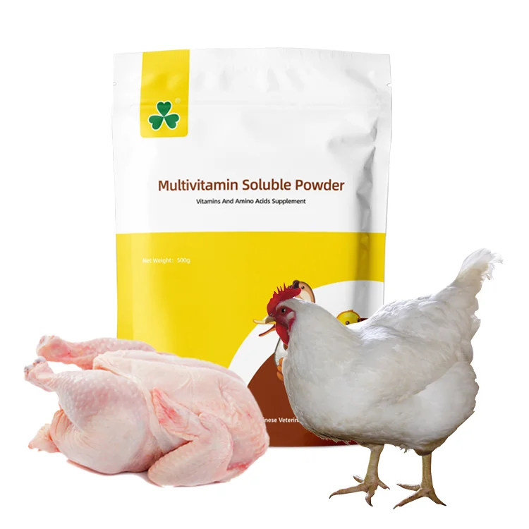poultry multivitamin supplement growth regulator chicken premix