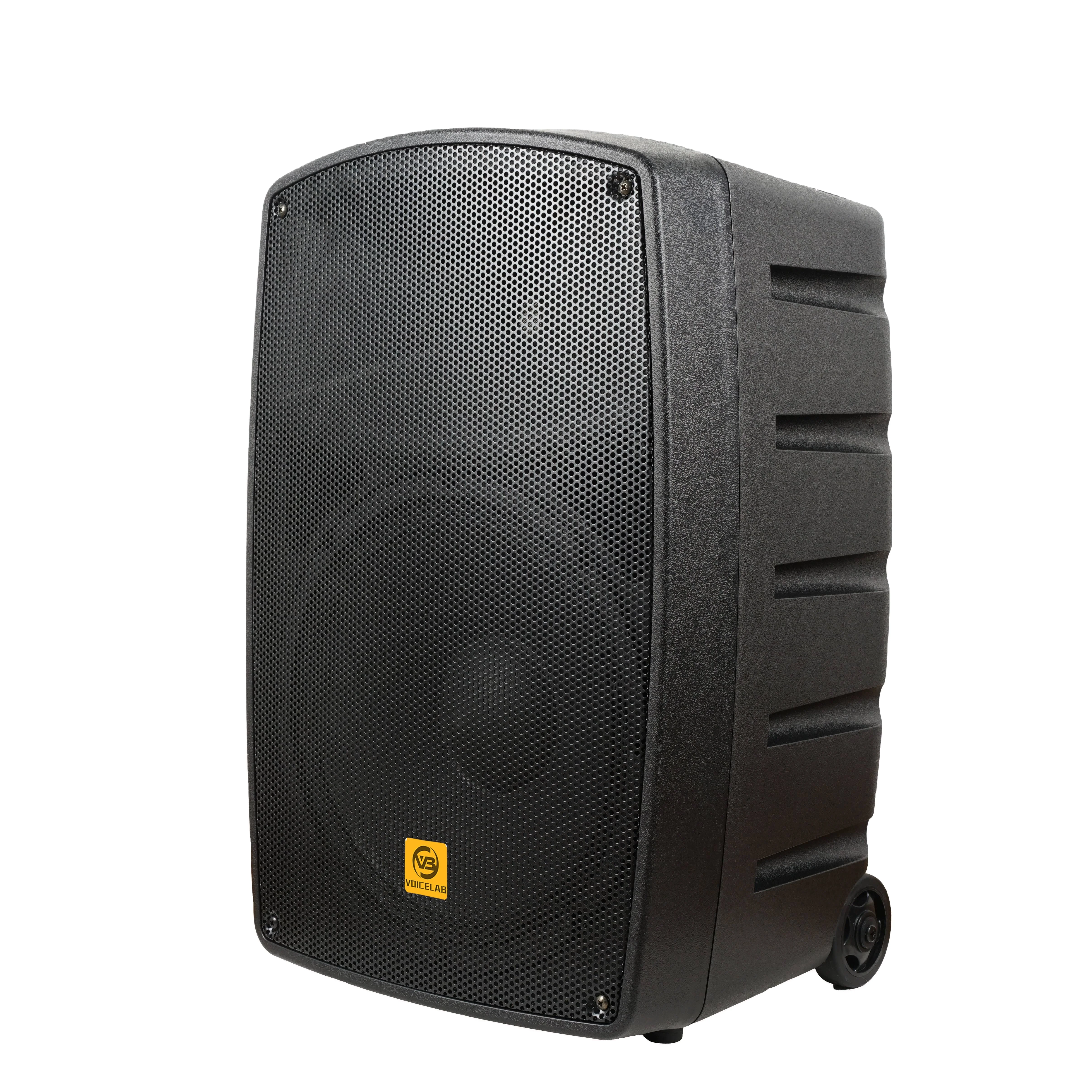 Pro аудио PXH15-DM100G2U7 портативный 15-дюймовый динамик с питанием Профессиональный активный караоке