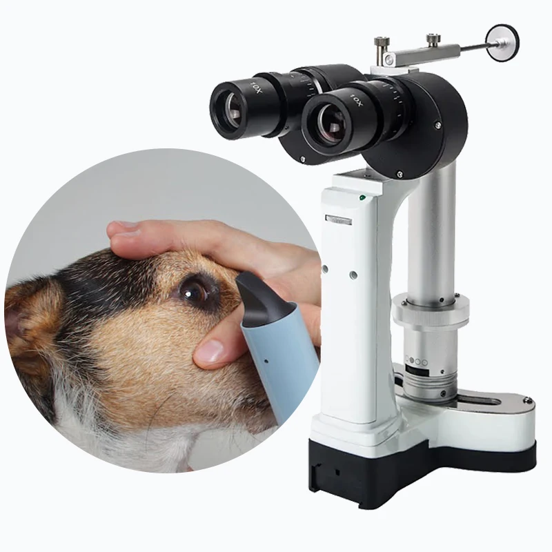 Hot Sale Ophthalmic Portable Slit Lamp Price Handheld for Human/Veterinary