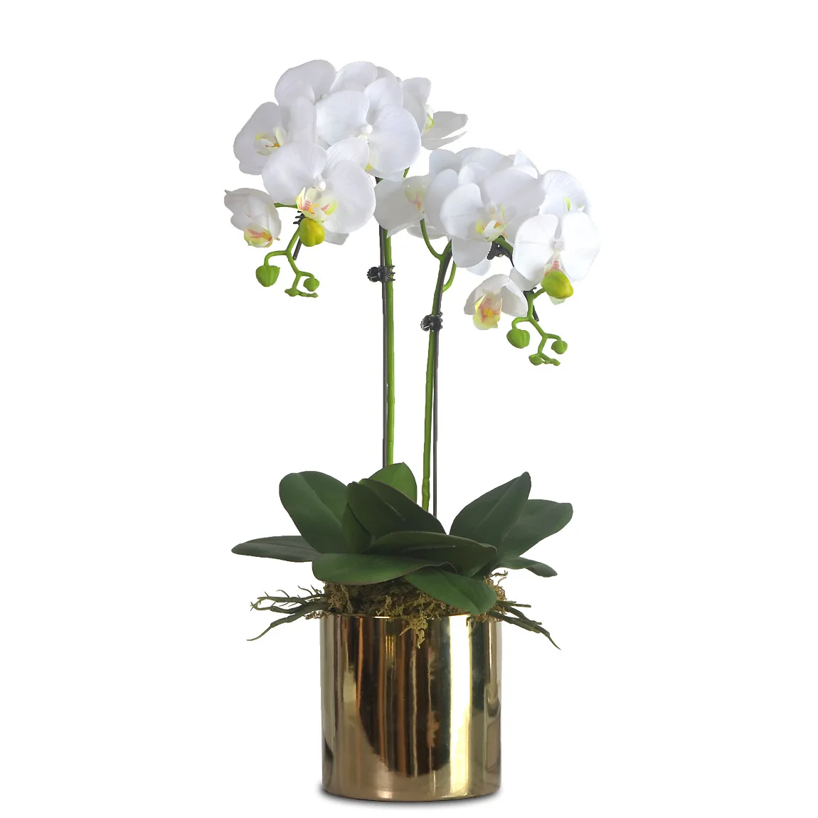 Artificial Orchids Phalaenopsis in Vase Decorative Latex Orchid Plants Real touch Artificial Orchid with Pot