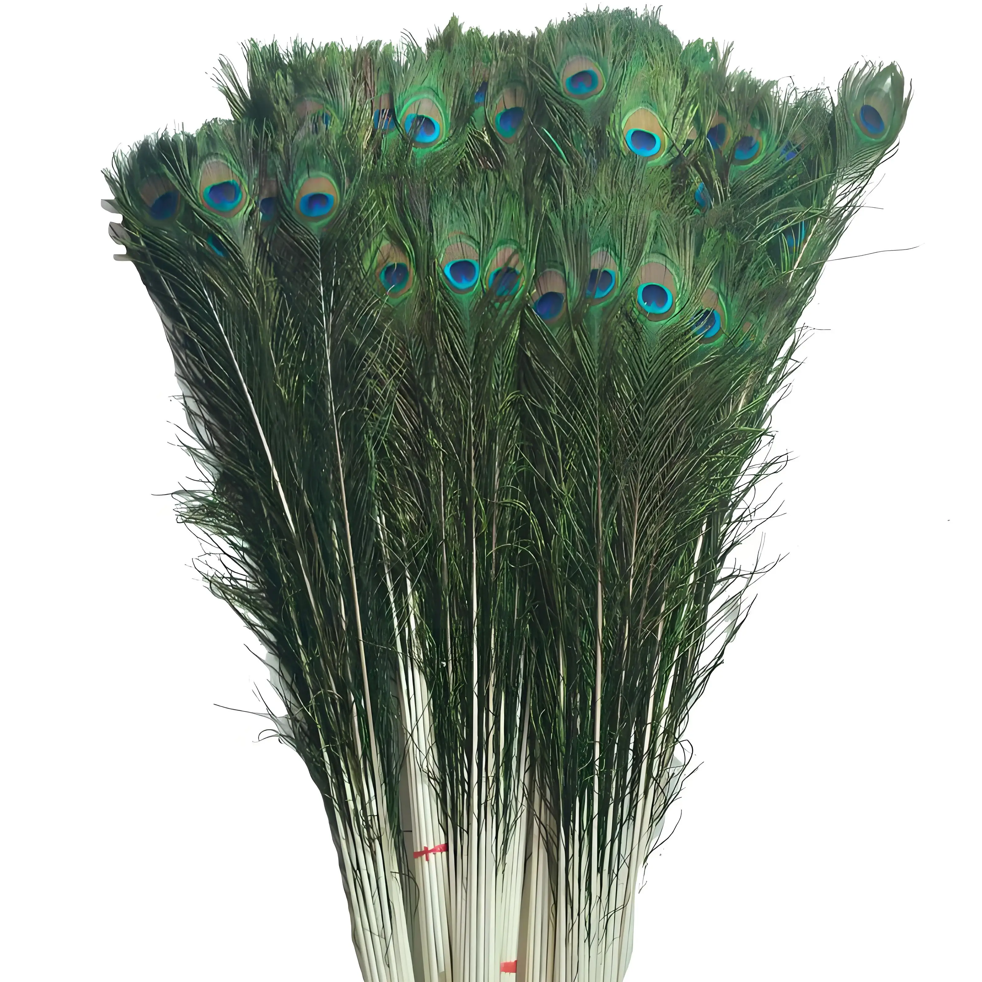 100% Natural Peacock Feathers Are Used As Home Decoration Jewelry At Special Price