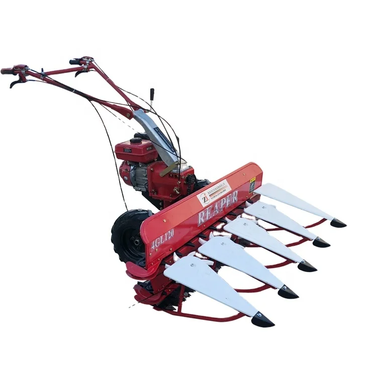Low Price 4 rows Light Weight Hand Walking Small Corn Harvester for Alfalfa