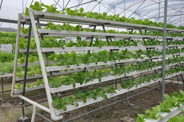 Гидропонная система выращивания каналов NFT гидропонных желобов ареопонных растений тепличные столы для