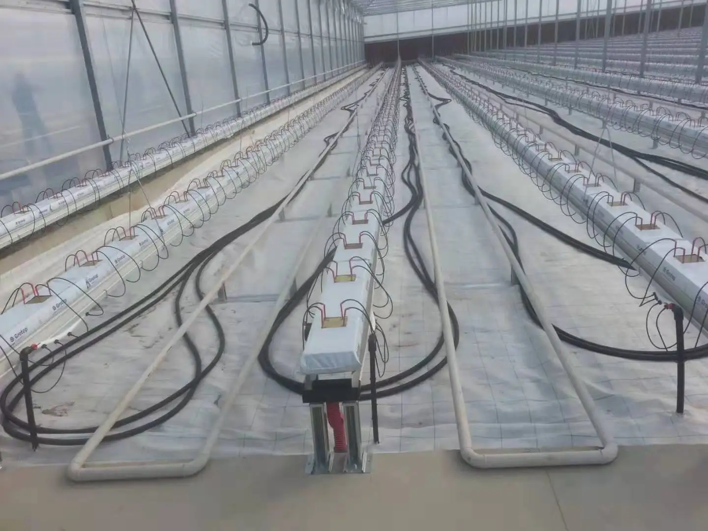 Green house nft hydroponic pipe mushroom greenhouse farm