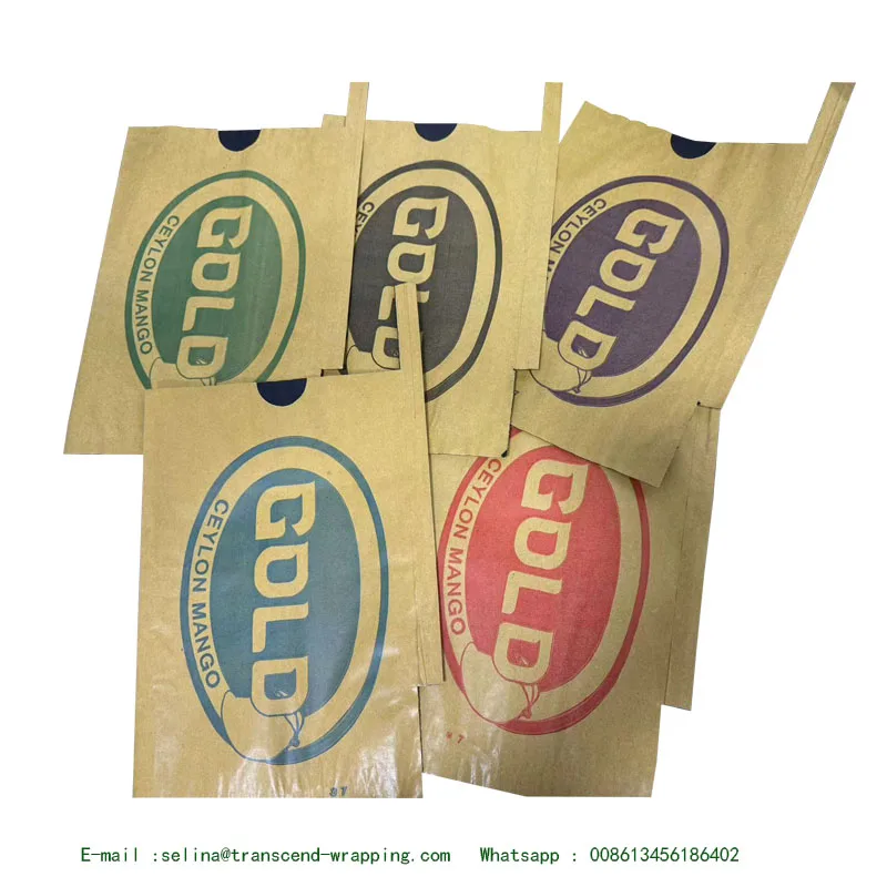 Srilanka  Blue and Yellow  Mango bag Double Layers Mango fruit Protection bag