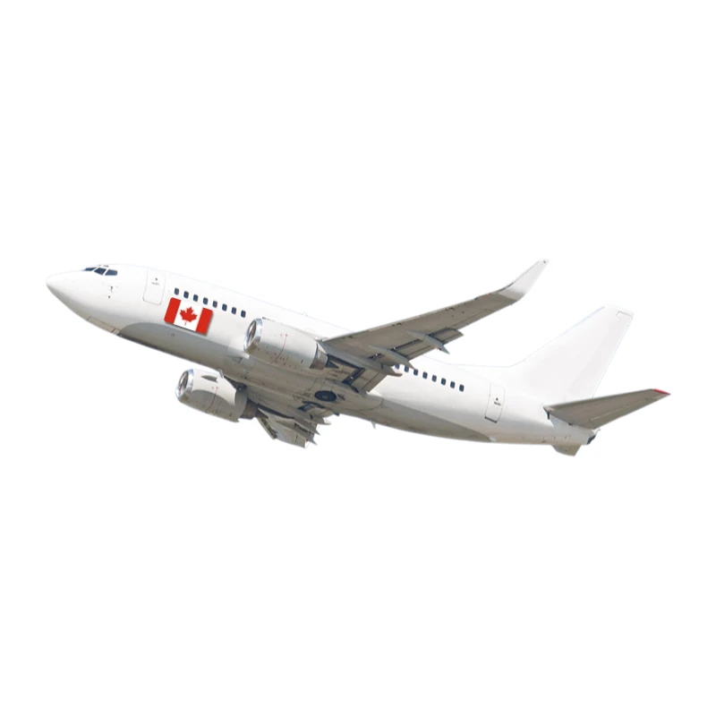 2024 Hot Air Freight Sourcing Agent Forwarder Express Buying Things Online To CA Private Label Dropshipping